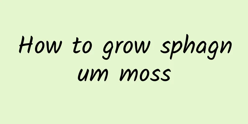 How to grow sphagnum moss