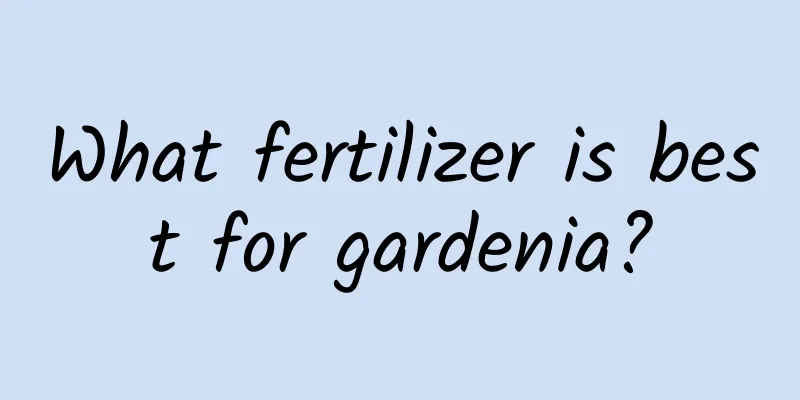 What fertilizer is best for gardenia?