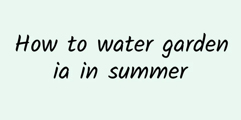 How to water gardenia in summer