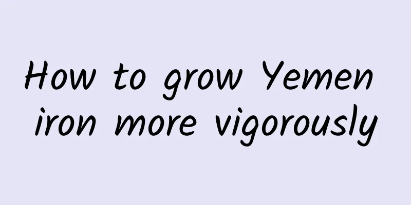 How to grow Yemen iron more vigorously