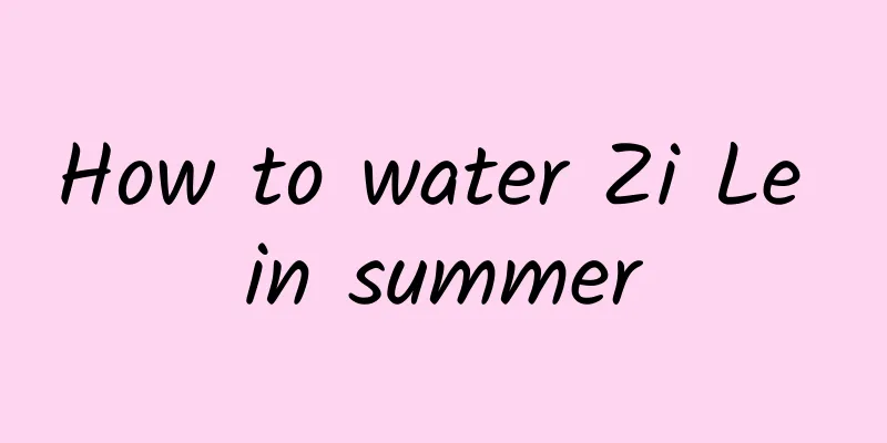 How to water Zi Le in summer