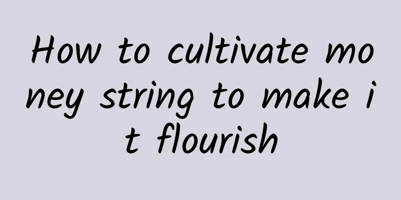 How to cultivate money string to make it flourish