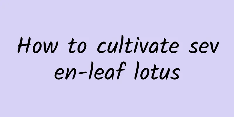 How to cultivate seven-leaf lotus