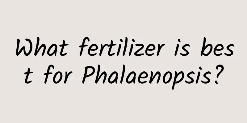 What fertilizer is best for Phalaenopsis?