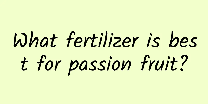 What fertilizer is best for passion fruit?