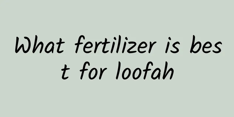 What fertilizer is best for loofah