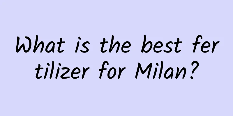 What is the best fertilizer for Milan?