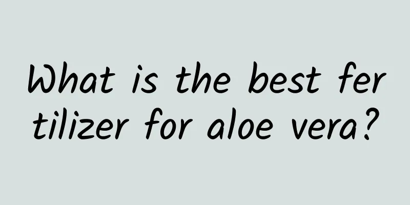What is the best fertilizer for aloe vera?