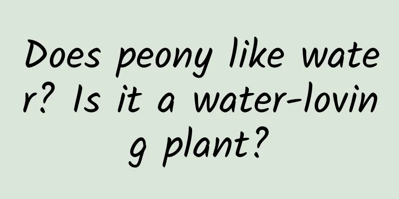 Does peony like water? Is it a water-loving plant?