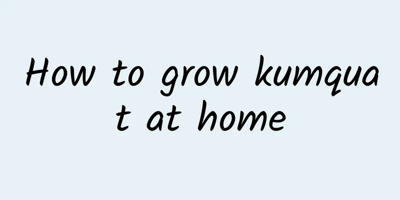 How to grow kumquat at home