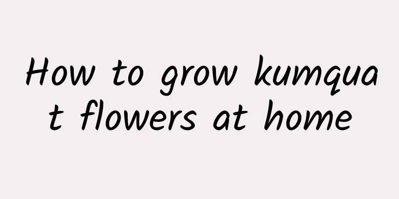 How to grow kumquat flowers at home