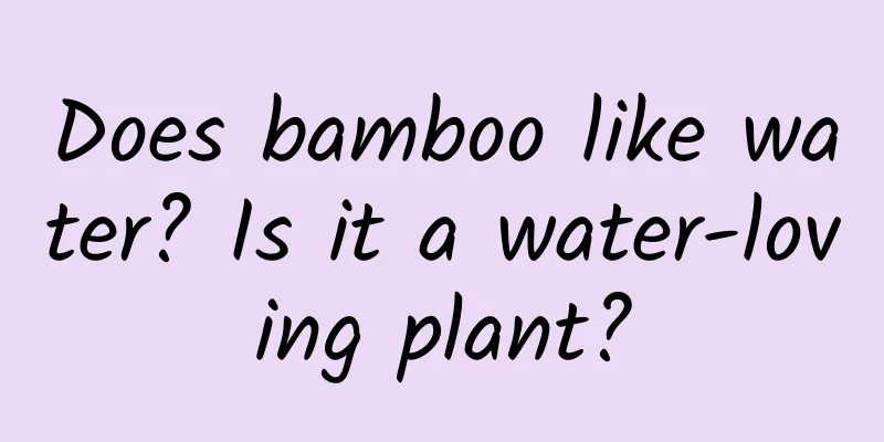 Does bamboo like water? Is it a water-loving plant?