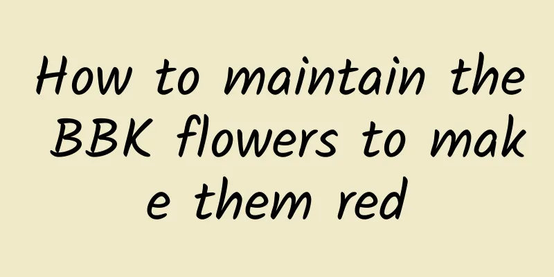 How to maintain the BBK flowers to make them red