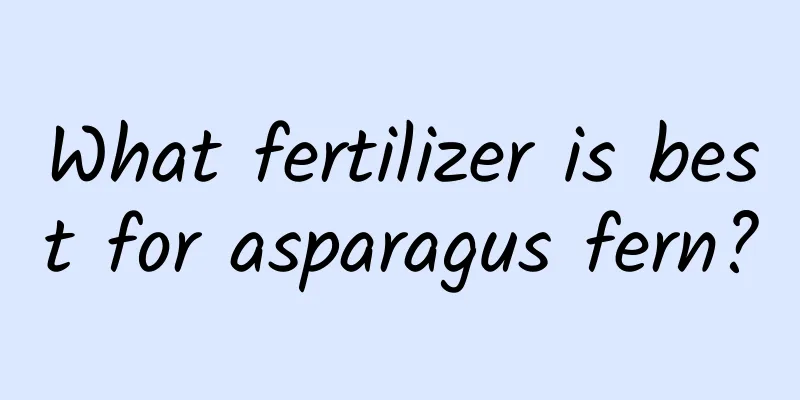 What fertilizer is best for asparagus fern?