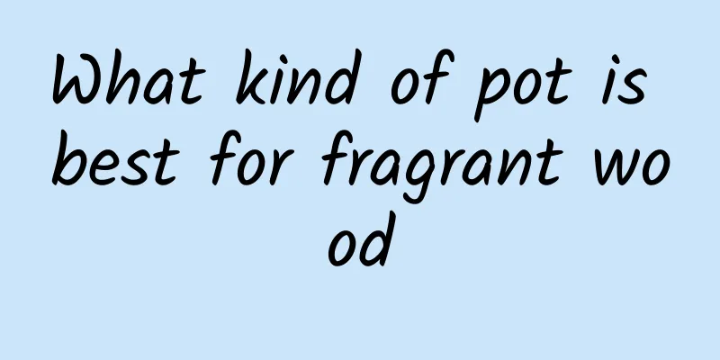 What kind of pot is best for fragrant wood