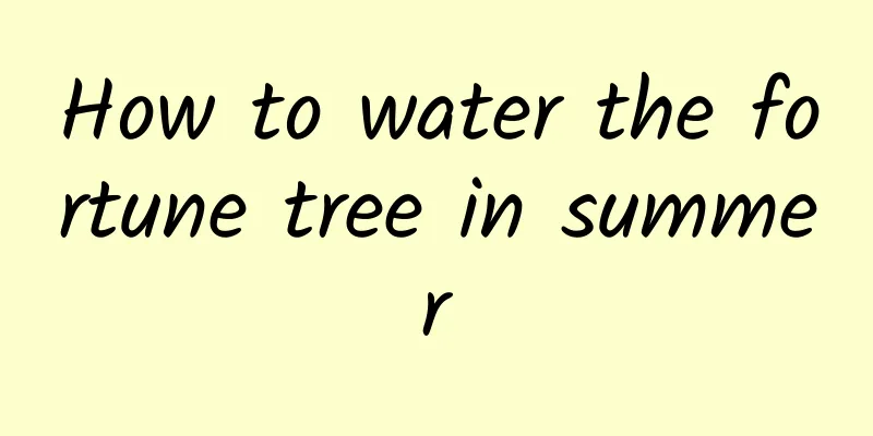 How to water the fortune tree in summer