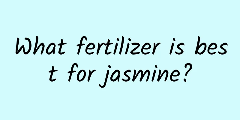 What fertilizer is best for jasmine?