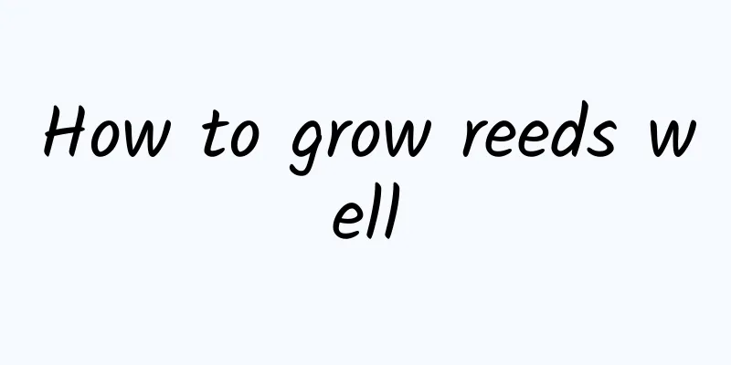 How to grow reeds well