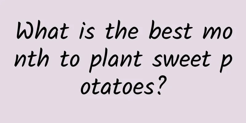 What is the best month to plant sweet potatoes?