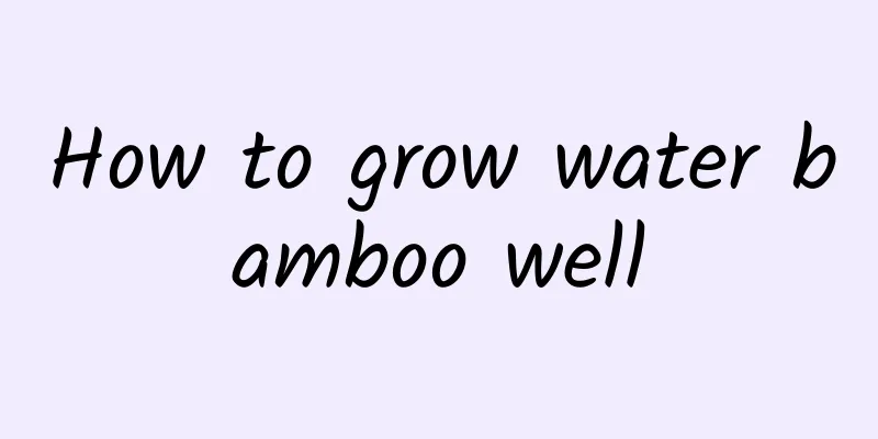 How to grow water bamboo well