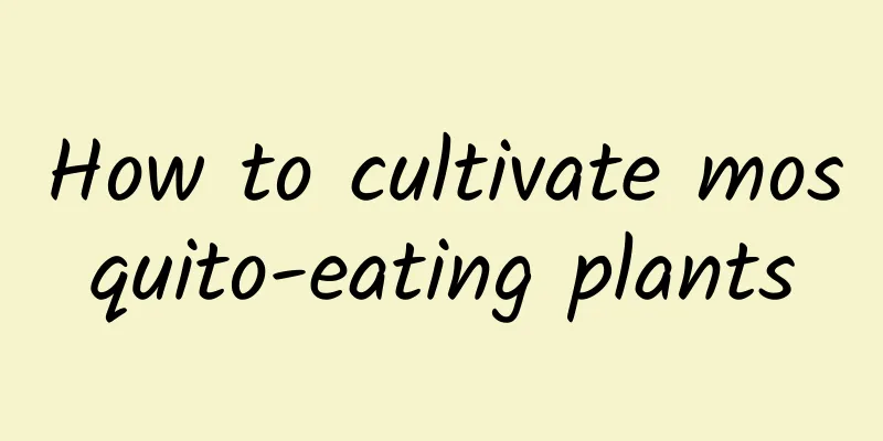 How to cultivate mosquito-eating plants