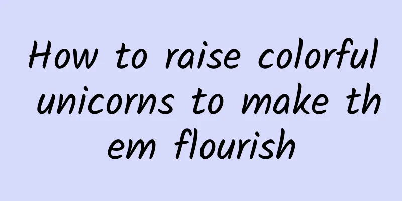 How to raise colorful unicorns to make them flourish