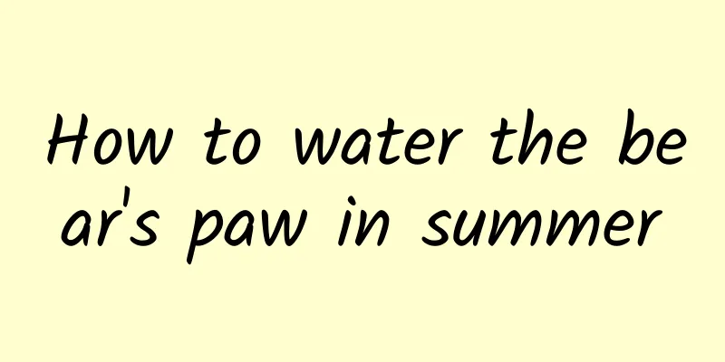 How to water the bear's paw in summer