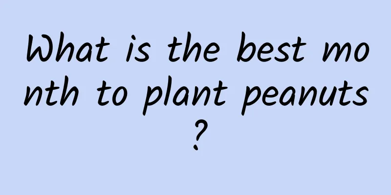 What is the best month to plant peanuts?