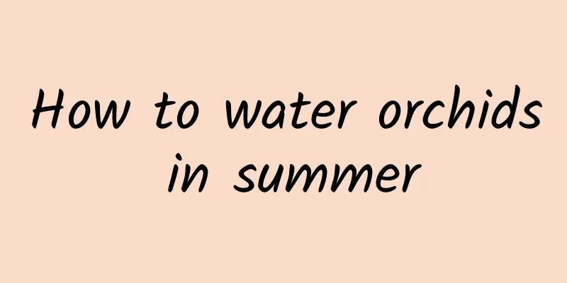How to water orchids in summer