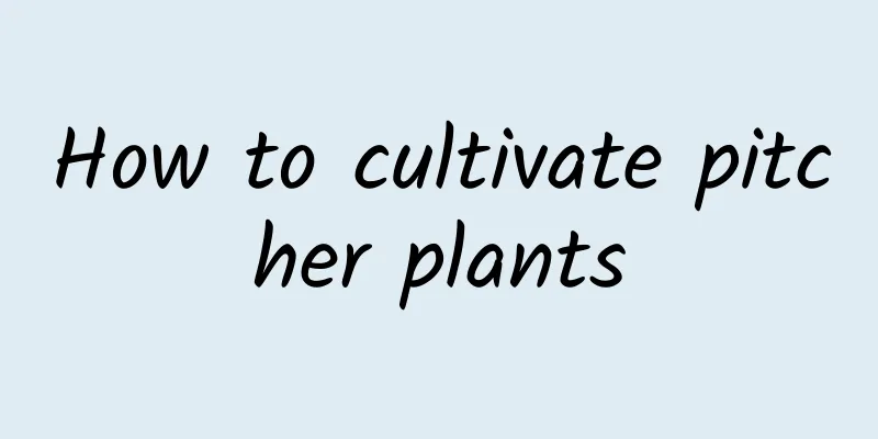 How to cultivate pitcher plants