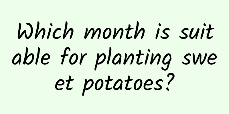 Which month is suitable for planting sweet potatoes?