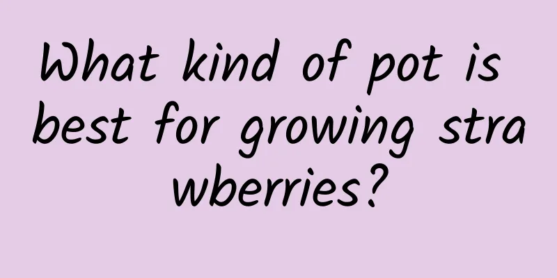 What kind of pot is best for growing strawberries?