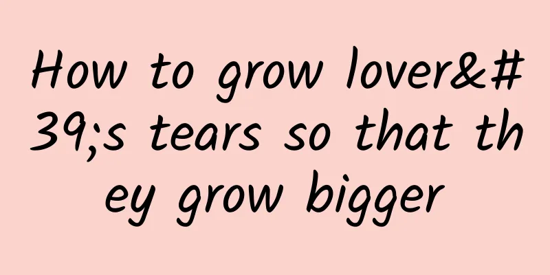 How to grow lover's tears so that they grow bigger