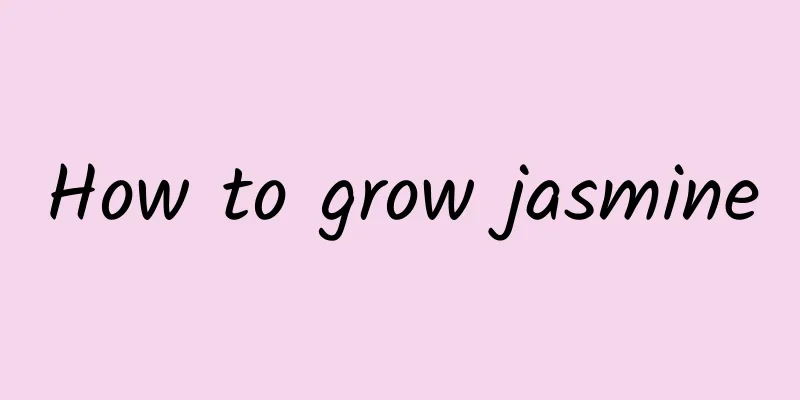 How to grow jasmine
