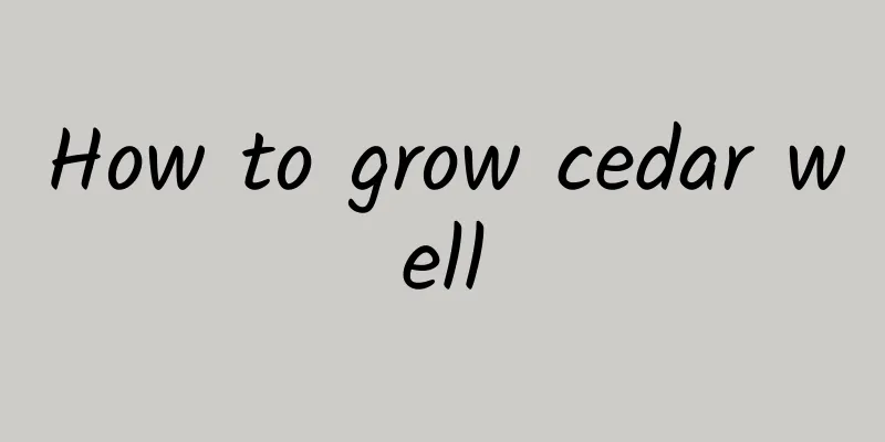 How to grow cedar well