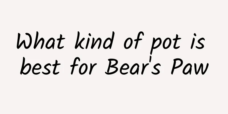 What kind of pot is best for Bear's Paw