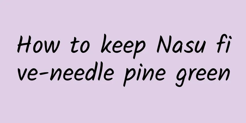 How to keep Nasu five-needle pine green